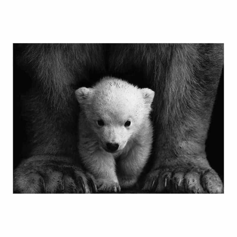Bear Canvas Black And White