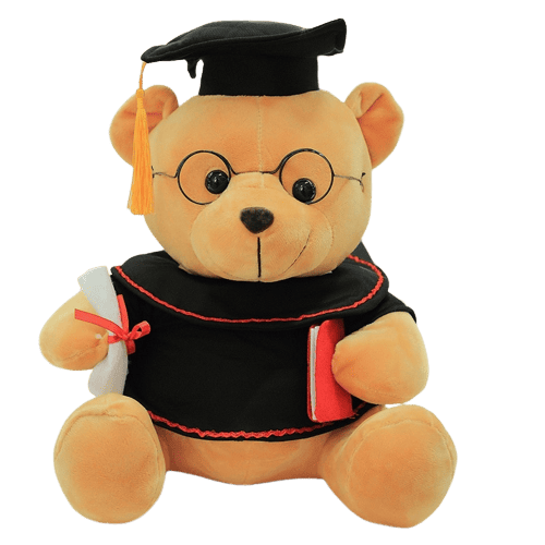 Harvard Teddy Bear