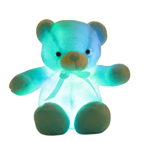 Light Up Teddy Bear 30Cm