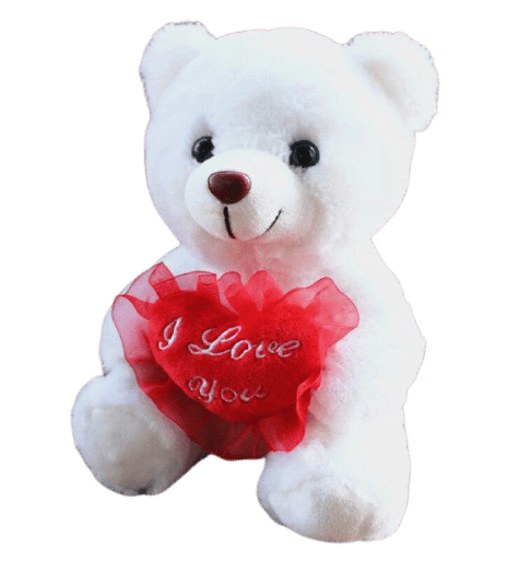 Teddy Bear To Offer