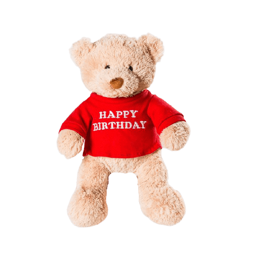 Happy Birthday Teddy Bear