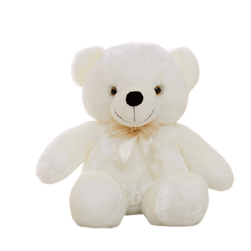 Light Up Teddy Bear 50Cm